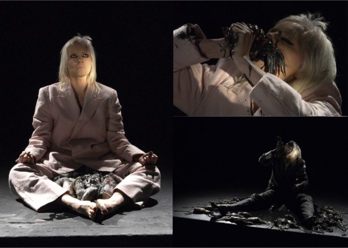 Catherine Bell, Felt is the Past Tense of Feel (2006)