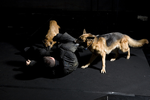 Romeo Castellucci, Inferno (2009)