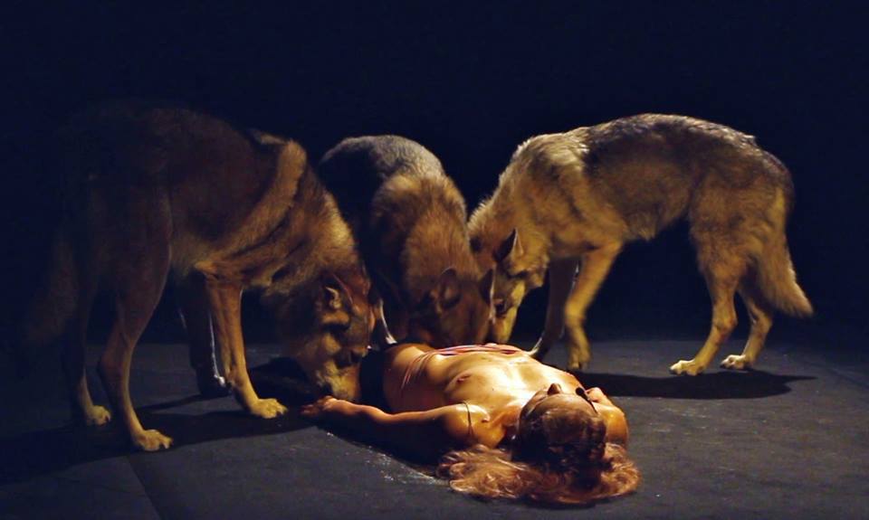 Maja Smrekar: I Hunt Nature And Culture Hunts Me (2014)