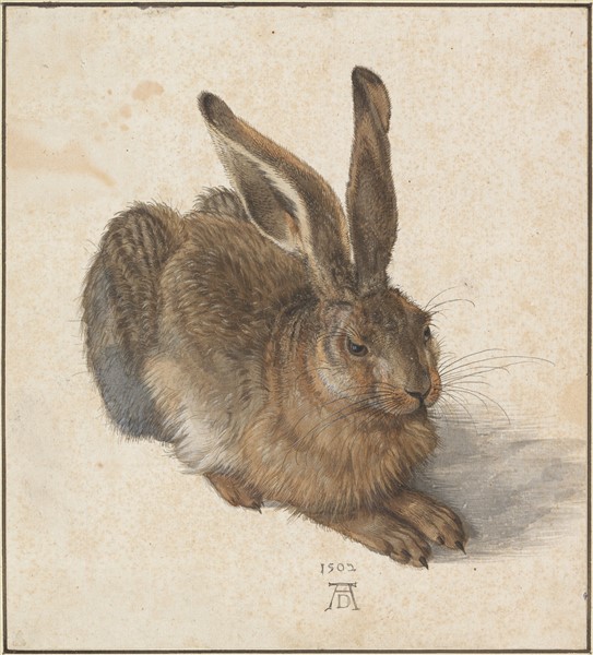 Fotografija št. 5. Albrecht Dürer: Young Hare, 1502.<sup class="modern-footnotes-footnote modern-footnotes-footnote--expands-on-desktop " data-mfn="1" data-mfn-post-scope="0000000000000c170000000000000000_3385"><a href="javascript:void(0)" role="button" aria-pressed="false" aria-describedby="mfn-content-0000000000000c170000000000000000_3385-1">1</a></sup><span id="mfn-content-0000000000000c170000000000000000_3385-1" role="tooltip" class="modern-footnotes-footnote__note" tabindex="0" data-mfn="1">Slika: https://en.wikipedia.org/wiki/Young_Hare.</span>